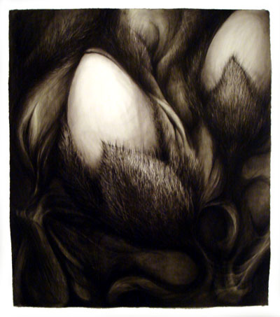 Lorena Salcedo-Watson: ‘Morphologies’