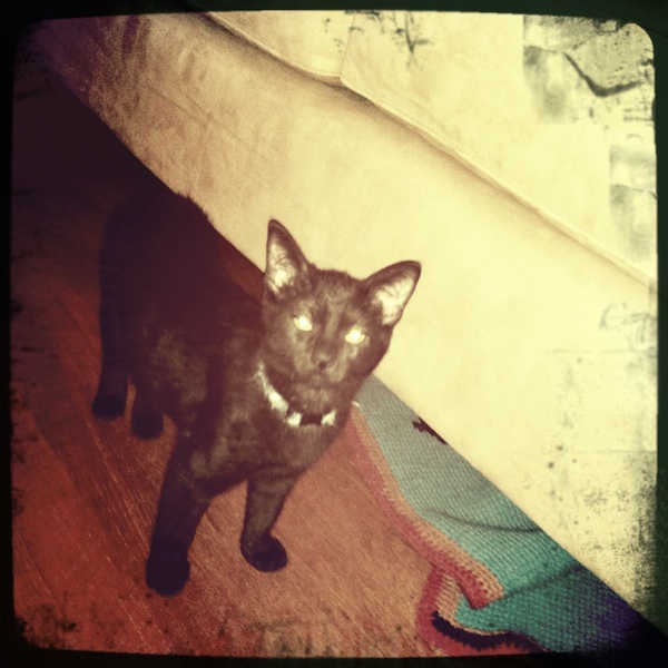 Ivan’s First Portrait