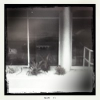 G.S.V. Self-Portrait, Boca Raton FL (Rephotographed)