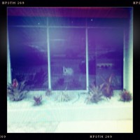 G.S.V. Self-Portrait, Boca Raton FL (Rephotographed)