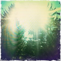 Starburst Glare, Devon PA (Rephotographed) – 5x