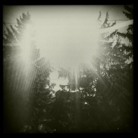 Starburst Glare, Devon PA (Rephotographed) – 5x