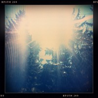 Starburst Glare, Devon PA (Rephotographed) – 5x