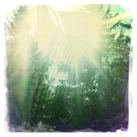 Starburst Glare, Devon PA (Rephotographed) – 5x