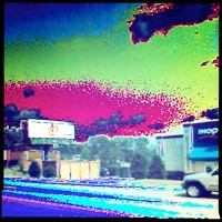 Trip trip to the Dream Dragon (Rephotographed) – Arden, NC