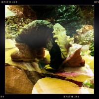 The Yoga-ing Yard Gnome!