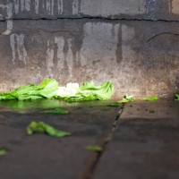 Dallas Farmer’s Market