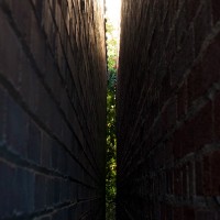 Fort Worth Stockyards