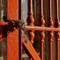 Fort Worth Stockyards