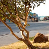 Fort Worth Stockyards
