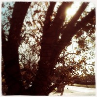 Hipstamatic D-Series