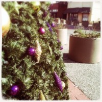 Hipstamatic D-Series