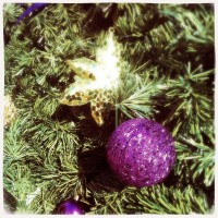 Hipstamatic D-Series