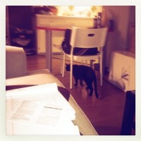 Hipstamatic Disposable update – the MegaZuck 84 camera