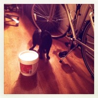 Hipstamatic Disposable update – the MegaZuck 84 camera