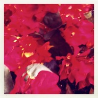 Hipstamatic Disposable update – the MegaZuck 84 camera