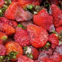 Dallas Farmer’s Market