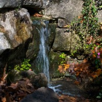 Eureka Springs Photowalk