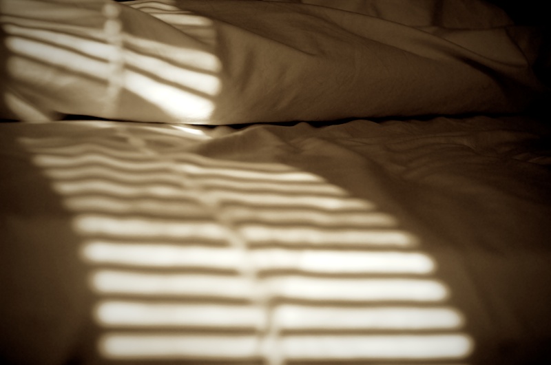 365.32 Unmade Landscape