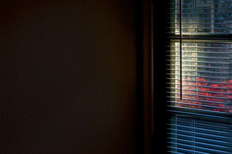 365.30 Afternoon (De)Light #2