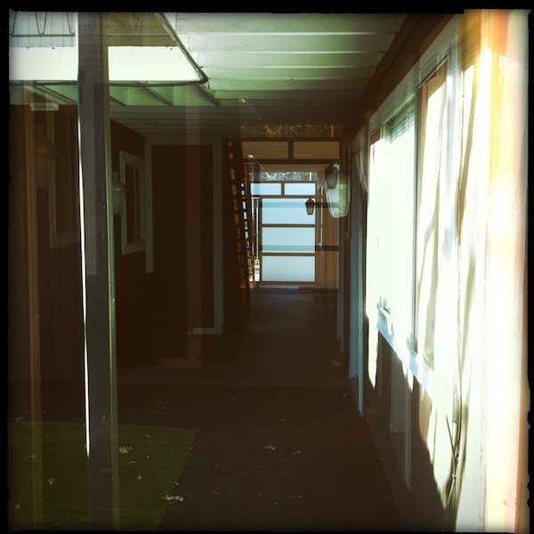 Hipstamatic Disposable update 5 – the Rodney ZX9 camera