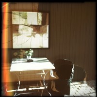 Hipstamatic Disposable update 5 – the Rodney ZX9 camera
