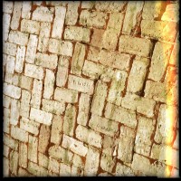 Hipstamatic Disposable update 5 – the Rodney ZX9 camera