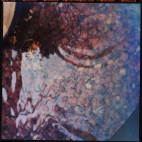 Hipstamatic D update 4 – the Foxy X69 camera