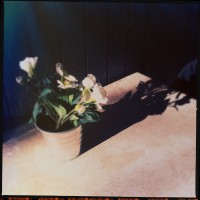 Hipstamatic D update 4 – the Foxy X69 camera