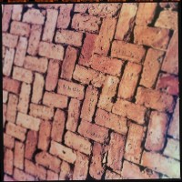 Hipstamatic D update 4 – the Foxy X69 camera