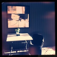 Hipstamatic Disposable update 3 – the D-Lite camera