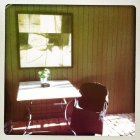 Hipstamatic Disposable update 2 – the D-Fault camera