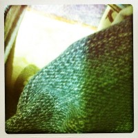 Hipstamatic Disposable update 2 – the D-Fault camera