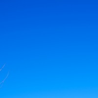 Bishop Arts Photowalk