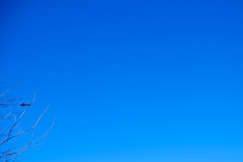 Bishop Arts Photowalk