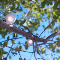 Bishop Arts Photowalk