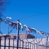 Bishop Arts Photowalk