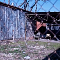 Bishop Arts Photowalk