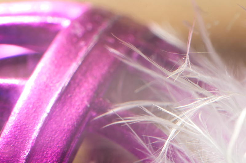 365-42b with magnification
