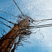 Downtown McKinney Photo Walk