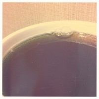 Hipstamatic Disposable update 8 – the Gregory GR8 camera