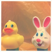 Hipstamatic Disposable update 8 – the Gregory GR8 camera