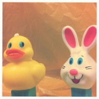 Hipstamatic Disposable update 8 – the Gregory GR8 camera