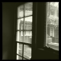 The Americana Lens from Hipstamatic