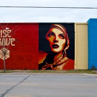 Obey Dallas – continued, ammended