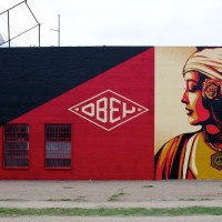 Obey Dallas
