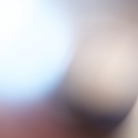 The Super Macro Bros.