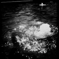 UTD Campus Photowalk and Hipstamatic recipe tests