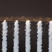 Super Macro Brothers: the Weigh-In