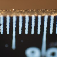 Super Macro Brothers: the Weigh-In